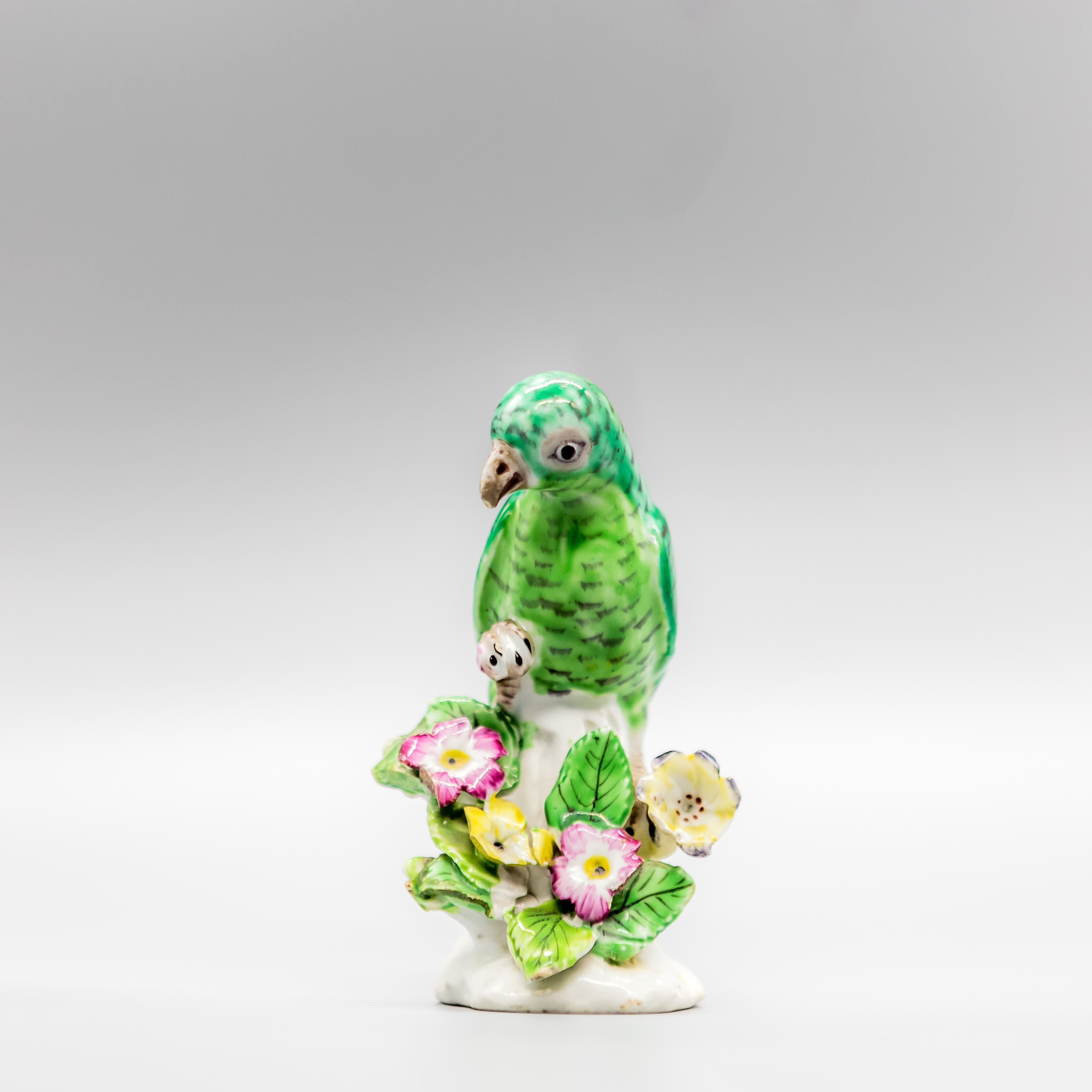 Bow parrot perched on a woody stump, circa 1765