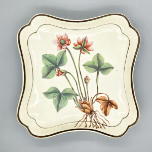 An English creamware botanical dish, circa 1805