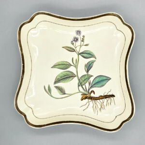 An English creamware botanical dish, circa 1805